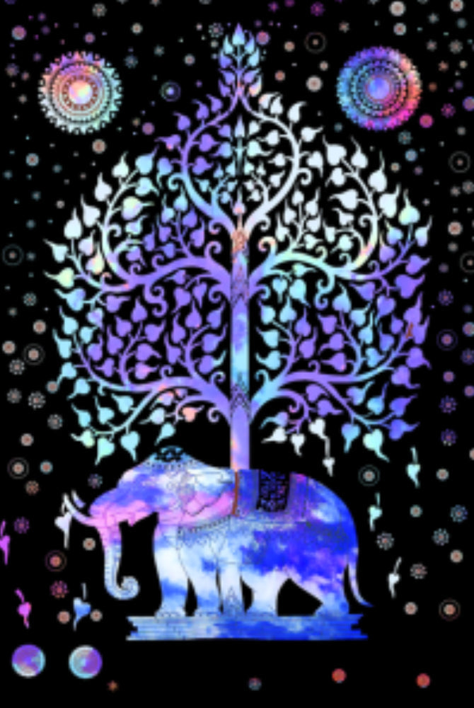 Elephant Tree Banner